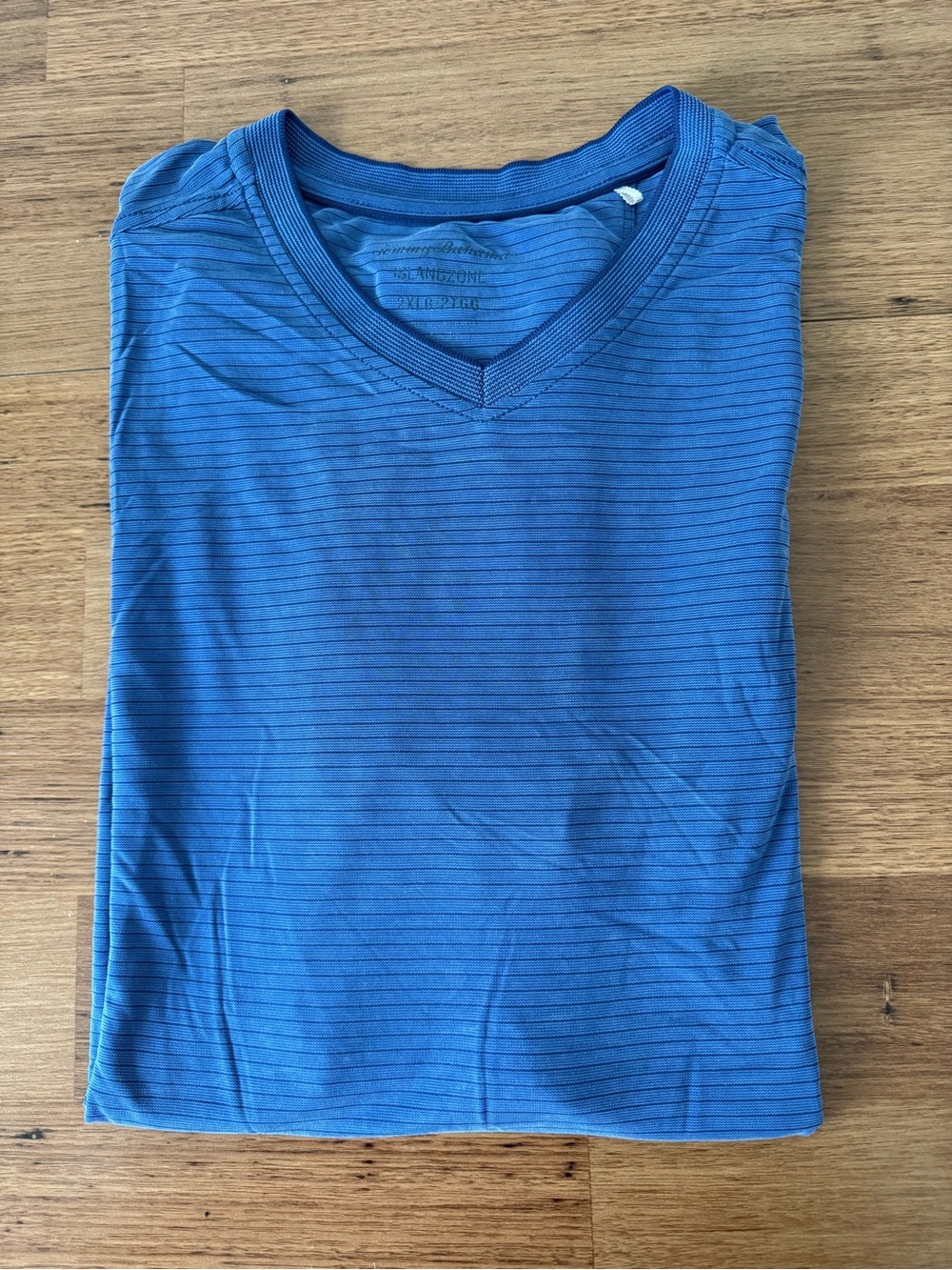 Tommy Bahama Blue Striped V-Neck Short Sleeve Shirt